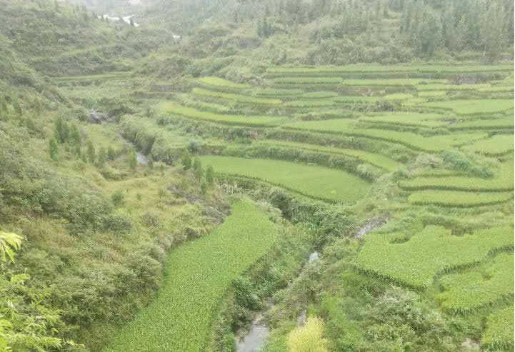 銅仁市萬山區(qū)2018年水土流失重點(diǎn)治理龍溪小流域水土保持生態(tài)治理工程